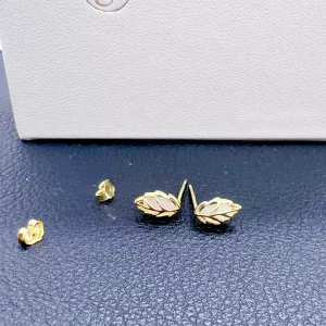 Puces Feuille et Sélénite