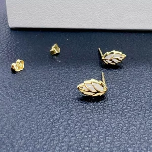 Puces Feuille et Sélénite